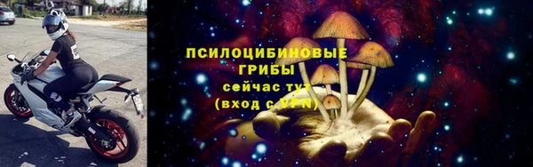 ПСИЛОЦИБИНОВЫЕ ГРИБЫ Козельск
