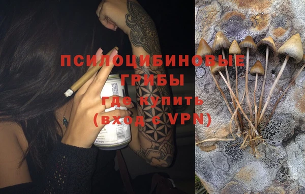 ПСИЛОЦИБИНОВЫЕ ГРИБЫ Козельск